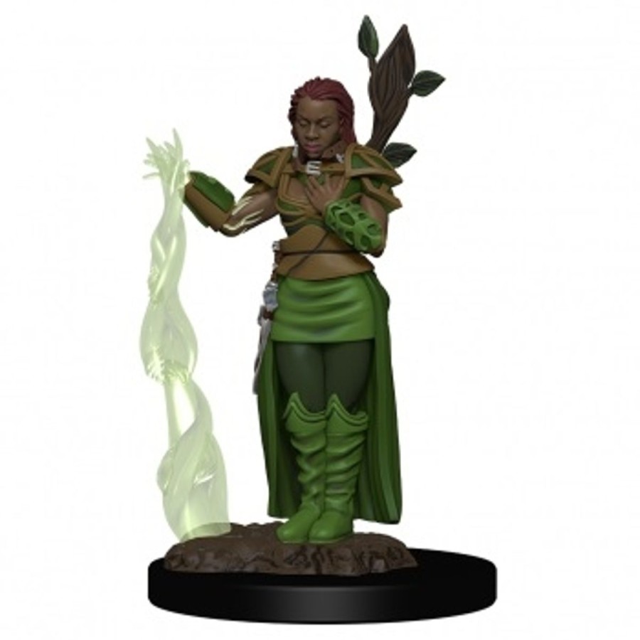 Rollespil EPIC PANDA D&D 5E Rollespilsfigurer | Dnd - Human Druid Female V2 - Icons Of The Realms Premium Dnd Figur